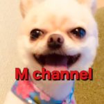 Mくん